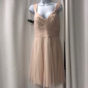 Beautiful blush tool dress